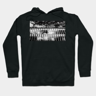 modernist hobart Hoodie